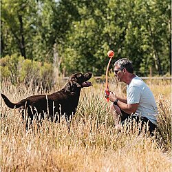 Chuckit Sport Launcher Dog Toy Large - 18