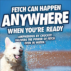 Chuckit! Suda Batmayan Bumerang Köpek Oyuncağı - 4