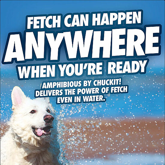 Chuckit! Suda Batmayan Bumerang Köpek Oyuncağı - 4