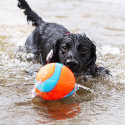 Chuckit Suda Batmayan Mega Köpek Oyun Topu 12 Cm - Thumbnail