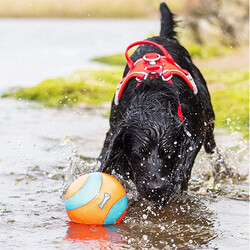 Chuckit Suda Batmayan Mega Köpek Oyun Topu 12 Cm - Thumbnail