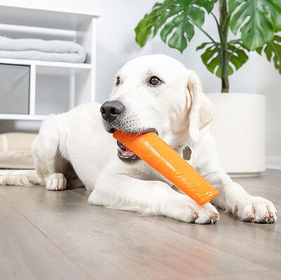 Chuckit Super Crunch Stick Köpek Oyuncağı (Küçük Boy)