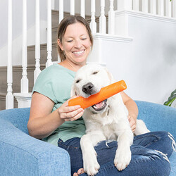 Chuckit Super Crunch Stick Köpek Oyuncağı (Küçük Boy) - Thumbnail