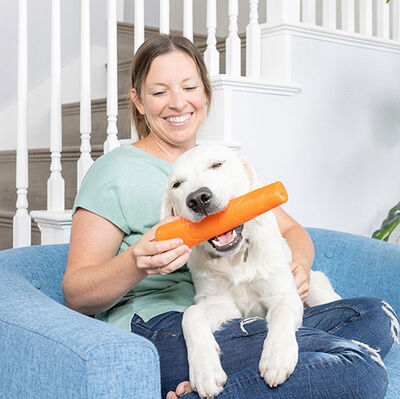 Chuckit Super Crunch Stick Köpek Oyuncağı (Küçük Boy)