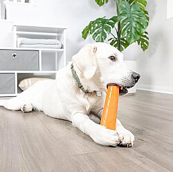 Chuckit Super Crunch Stick Köpek Oyuncağı (Küçük Boy) - 4