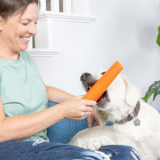 Chuckit Super Crunch Stick Köpek Oyuncağı (Küçük Boy) - 5
