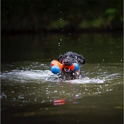 Chuckit Tri-Bumper Suda Batmayan 3 Kollu Köpek Oyuncağı (Büyük Boy) - 4