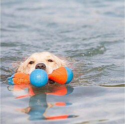 Chuckit Tri-Bumper Suda Batmayan 3 Kollu Köpek Oyuncağı (Büyük Boy) - 5