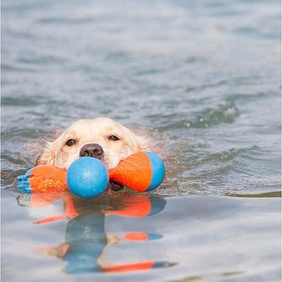Chuckit Tri-Bumper Suda Batmayan 3 Kollu Köpek Oyuncağı (Orta Boy) - 4