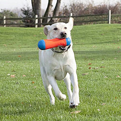 Chuckit Tumble Bumper Dog Toy Medium - 5