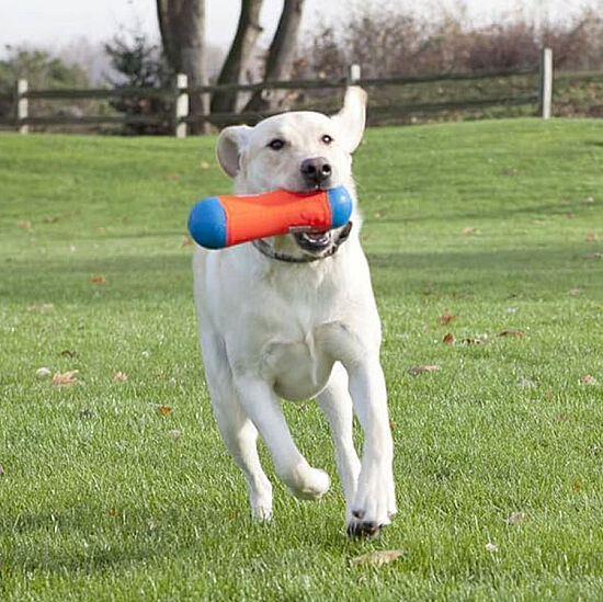 Chuckit Tumble Bumper Suda Batmayan Köpek Oyuncağı (Büyük Boy) - 5