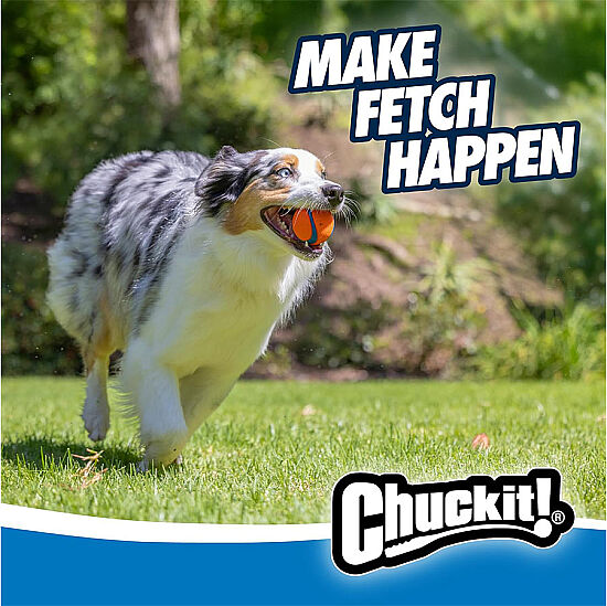 Chuckit Ultra Ball Köpek Oyun Topu 2'li Paket (Orta Boy) - 4
