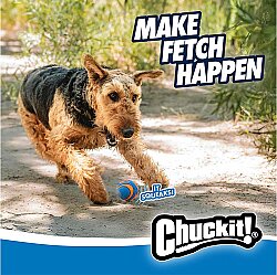 Chuckit Ultra Squeaker Sesli Köpek Oyun Topu 2'li Paket (Orta Boy) - 6