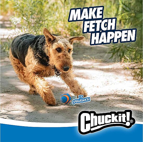 Chuckit Ultra Squeaker Sesli Köpek Oyun Topu 2'li Paket (Orta Boy) - 6