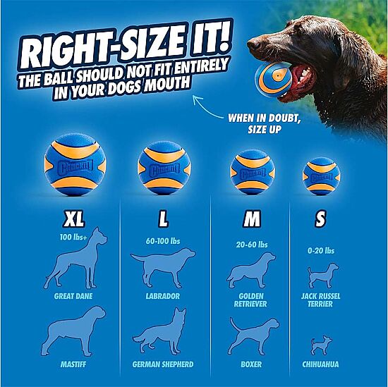 Chuckit Ultra Squeaker Sesli Köpek Oyun Topu 2'li Paket (Orta Boy) - 8