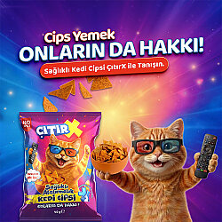 ÇıtırX Cips Kedi Ödülü 40 Gr - 2