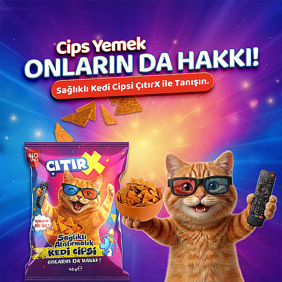ÇıtırX Cips Kedi Ödülü 40 Gr - 2