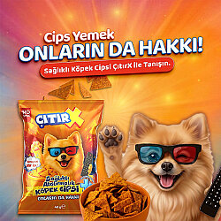 ÇıtırX Cips Köpek Ödülü 40 Gr - 2