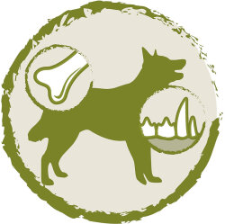 Dog Chow Kuzu Etli Yetişkin Köpek Maması 14 Kg - 3