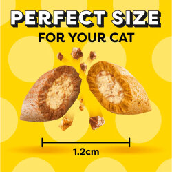 Dreamies Mega Pack With Somonlu Kedi Ödülü 180 Gr - 2