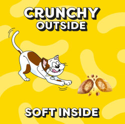 Dreamies Mega Pack With Somonlu Kedi Ödülü 180 Gr - 4