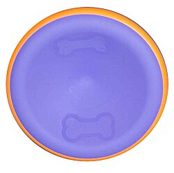 Eastland Sert Plastik Renkli Frisbee Oyuncak 23 Cm - Eastland