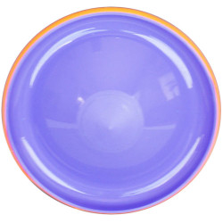 Eastland Sert Plastik Renkli Frisbee Oyuncak 23 Cm - Thumbnail