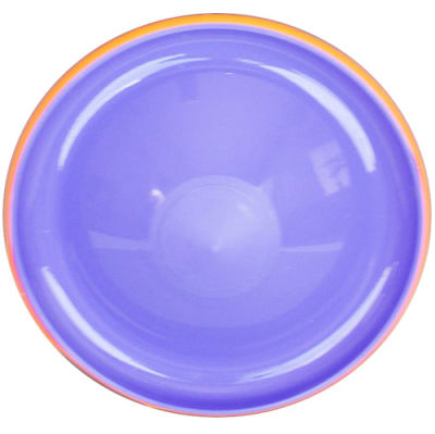 Eastland Sert Plastik Renkli Frisbee Oyuncak 23 Cm