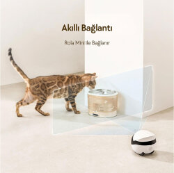 Enabot Rola Kablosuz Su Pınarı 2 Lt - 6