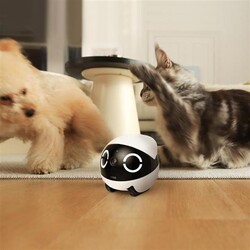 Enabot ROLA Mini 2K Kameralı Evcil Hayvan Robotu - 10