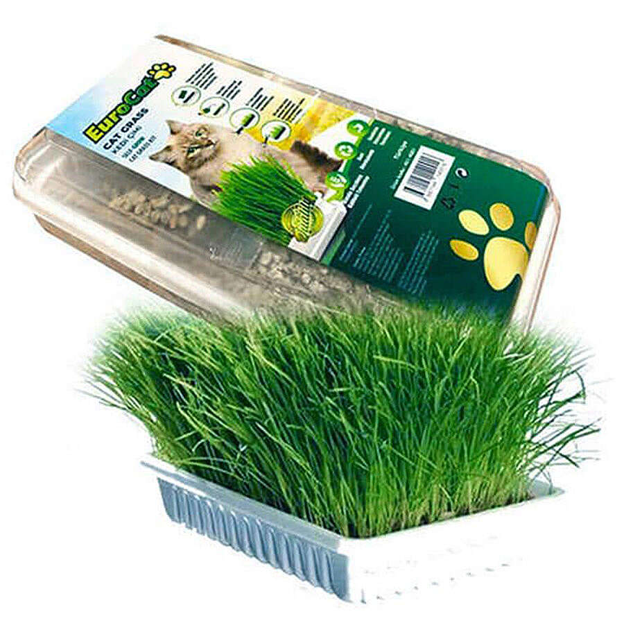 EuroCat Cat Grass Sindirim ve Tüy Yumağı Destekleyen Kedi Çimi