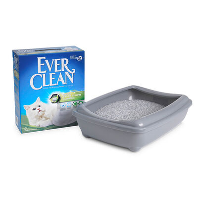 Ever Clean Extra Strong Scented (Ekstra Güçlü) Kokulu Kedi Kumu 10 Lt