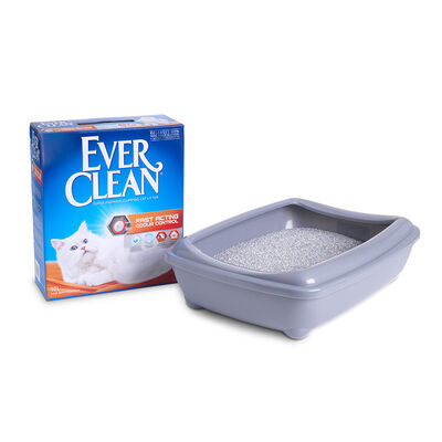 Ever Clean Fast Acting (Hızlı Topaklanma) Kokulu Kedi Kumu 10 Lt