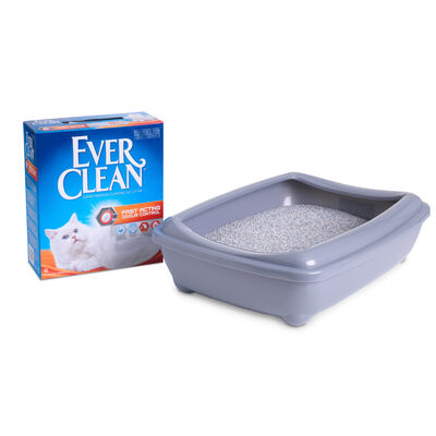 Ever Clean Fast Acting (Hızlı Topaklanma) Kokulu Kedi Kumu 6 Lt