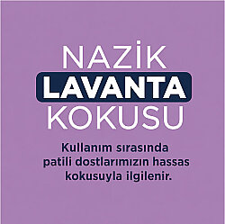 Ever Clean Lavander Lavanta Kokulu Topaklaşan Kedi Kumu 10 Lt - 4