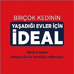Ever Clean Multiple Cat Çoklu Kedi Kumu 6 Lt - 4