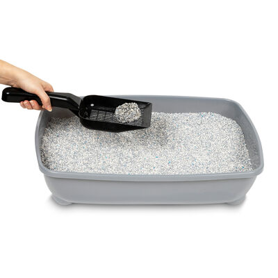 Ever Clean Spring Garden Çiçek Kokulu Kedi Kumu 10 Lt - 7