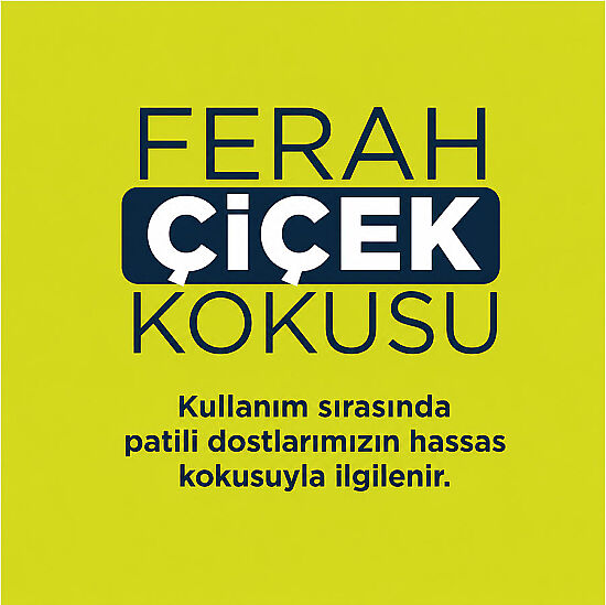 Ever Clean Spring Garden Çiçek Kokulu Kedi Kumu 6 Lt - 3