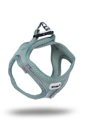 Ewox Air-Mesh Ergonomik Hava Kanallı Köpek Göğüs Tasması M - Su Yeşili - Ewox