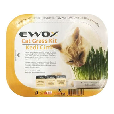 Ewox Grass Kit Naturel Kedi Çimi