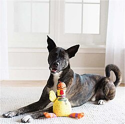 Fat Cat Barnyard Bullies Sesli Dayanıklı Kanvas Kumaş Tavuk Köpek Oyuncağı - 4