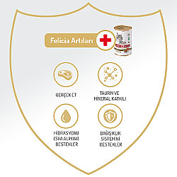 Felicia Care Sığır Etli Pate Tahılsız Kedi Konservesi 400 Gr - 2
