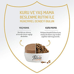 Felicia Care Sığır Etli Pate Tahılsız Kedi Konservesi 400 Gr - 4