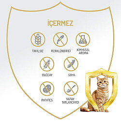 Felicia Care Sığır Etli Pate Tahılsız Kedi Konservesi 400 Gr - 5