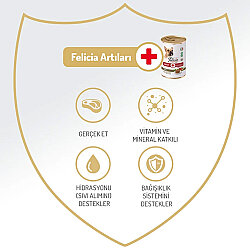 Felicia Care Sığır Etli Pate Tahılsız Köpek Konservesi 400 Gr - 2