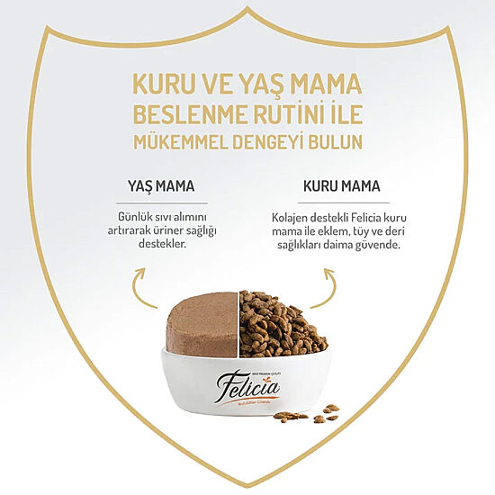 Felicia Care Sığır Etli Pate Tahılsız Köpek Konservesi 400 Gr - 4