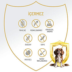 Felicia Care Sığır Etli Pate Tahılsız Köpek Konservesi 400 Gr - 5