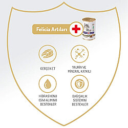 Felicia Care Sterilised Somonlu Pate Tahılsız Kısırlaştırılmış Kedi Konservesi 400 Gr - 2