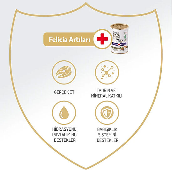 Felicia Care Sterilised Somonlu Pate Tahılsız Kısırlaştırılmış Kedi Konservesi 400 Gr - 2