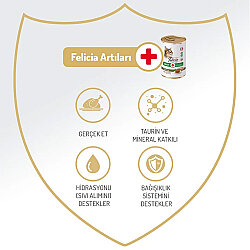 Felicia Care Tavuk Etli Pate Tahılsız Kedi Konservesi 400 Gr - 2